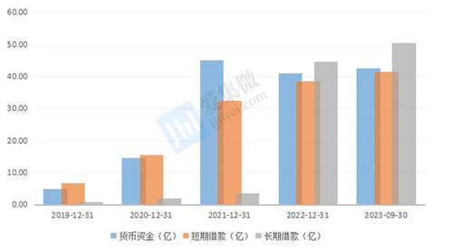 格科微布局中高像素CIS與自建Fab廠 短期財務承壓，長期戰略可期