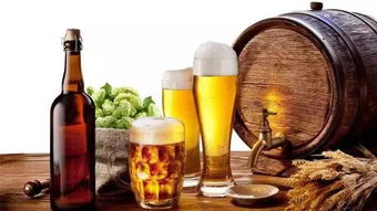 啤酒的多元魅力 不止于解渴，探尋其獨(dú)特風(fēng)味與妙用